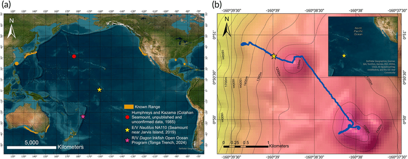 Image from: Scientists Captured Rare Footage of a “Living Fossil” Shark Nearly 700 Meters Deeper Than Ever Before in the Remote Waters of the Pacific