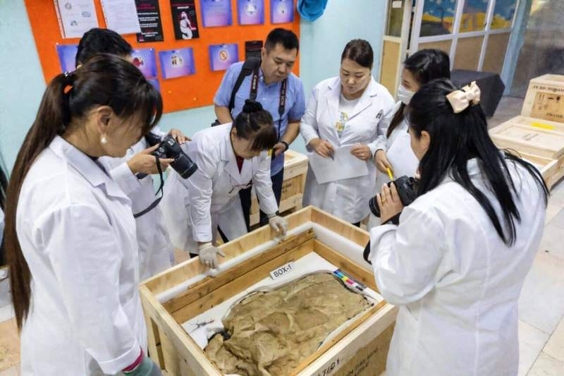 Image from: Stolen Nearly 20 Years Ago, the Fossils of This Giant Predator That Once Roamed Ancient Asia Have Finally Returned Home