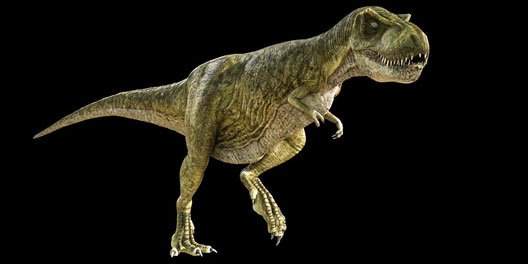 Image from: Stolen Nearly 20 Years Ago, the Fossils of This Giant Predator That Once Roamed Ancient Asia Have Finally Returned Home