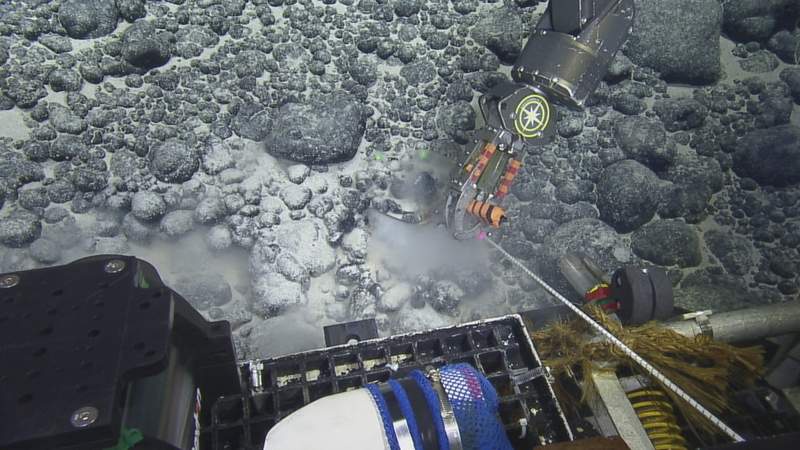 Image from: A Deep-Sea Robot Found a Megalodon Tooth 10,000 Feet Below the Pacific in a Place No One Had Ever Explored