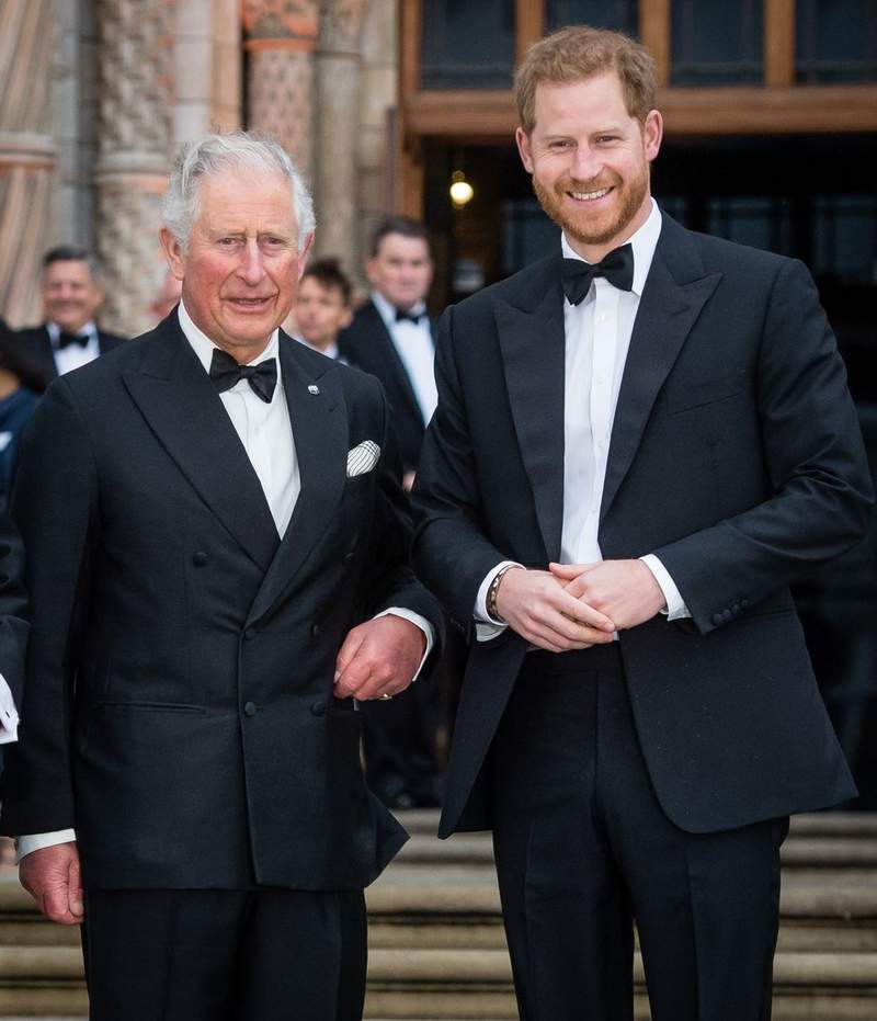 Image from: Prince Harry is now just a spectator as the Royal Family has truly moved on without him