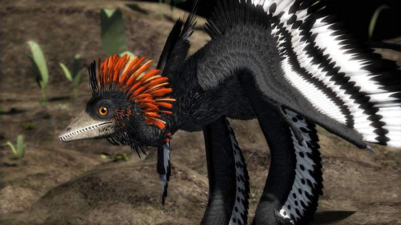 Image from: Exceptionally Well-Preserved 160-Million-Year-Old Fossil Feathers Reveal These Winged Dinosaurs Probably Couldn’t Fly