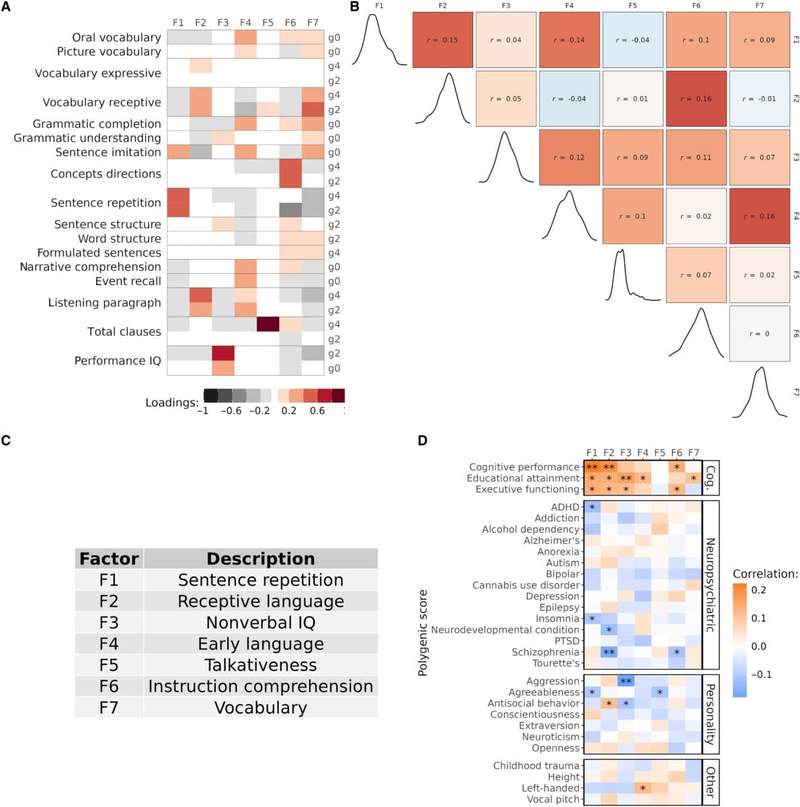 Image from: Scientists Found Ancient DNA Shared With Neanderthals That Could Explain Why Humans Can Talk