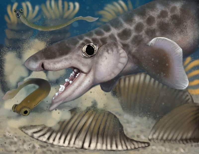 Image from: While Exploring This 426-Mile Cave Beneath Kentucky, Researchers Came Across Unusual Creatures