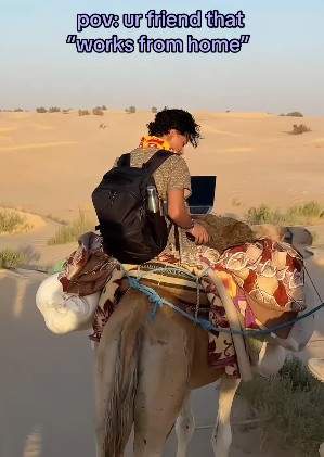 Image from: Man ’Works From Home’ on camel in Sahara Desert, Internet can’t stop laughing