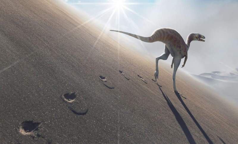Image from: Hidden in Brazil’s Ancient Sands, 135-Million-Year-Old Footprints Reveal a New Dinosaur Species With No Known Skeleton