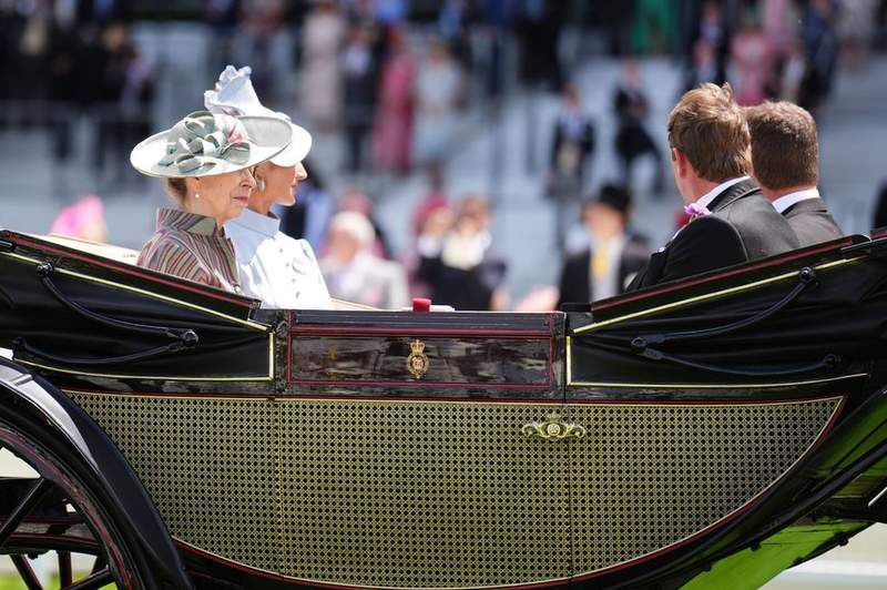 Image from: Peter and Harriet make first outing since wedding as couple join King and Queen at Ascot