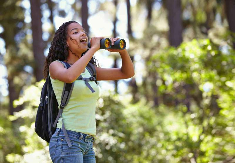 Image from: Eco-literate children can be stewards of nature – here’s how to boost environmental education