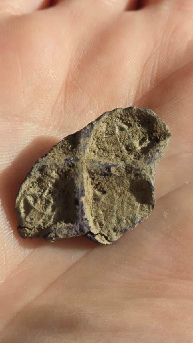 Image from: Archaeologists Dug Into an Irish Field and Found a Massive Viking Hall Hidden Beneath the Ground for Centuries