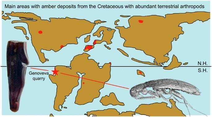 Image from: Researchers Uncovered 21 Ancient Creatures Trapped in an Amber Deposit and Remarkably Preserved for 112 Million Years