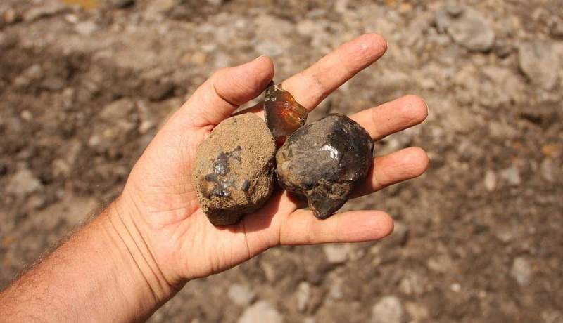 Image from: Researchers Uncovered 21 Ancient Creatures Trapped in an Amber Deposit and Remarkably Preserved for 112 Million Years