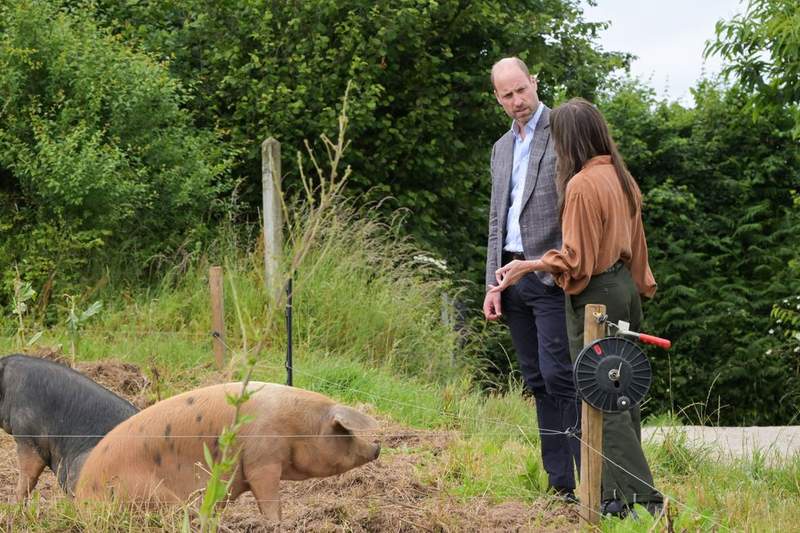 Image from: William meets pig called 'Ginger Spice' and taste-tests strawberries in Devon