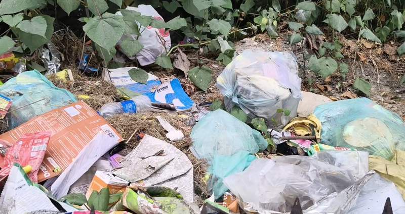 Image from: Himachal Pradesh: Garbage piles tarnish Manali's image amid peak tourist season