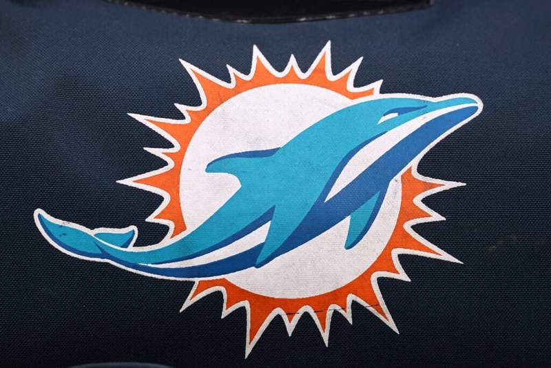 Image from: Which NFL team is the GTA VI Vice City Manatees football team based on