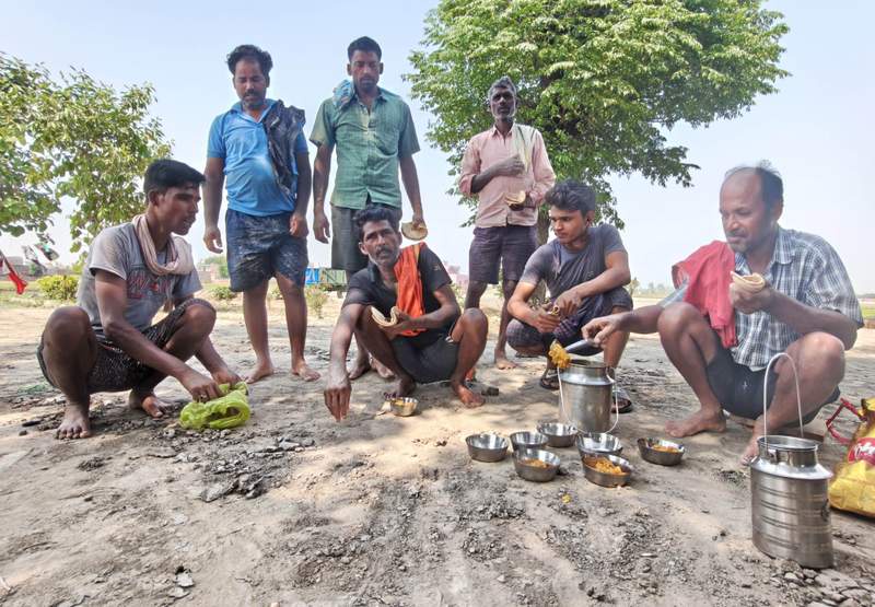 Image from: In pictures: Bihar migrants brave heat and humidity to keep Punjab’s paddy season on track