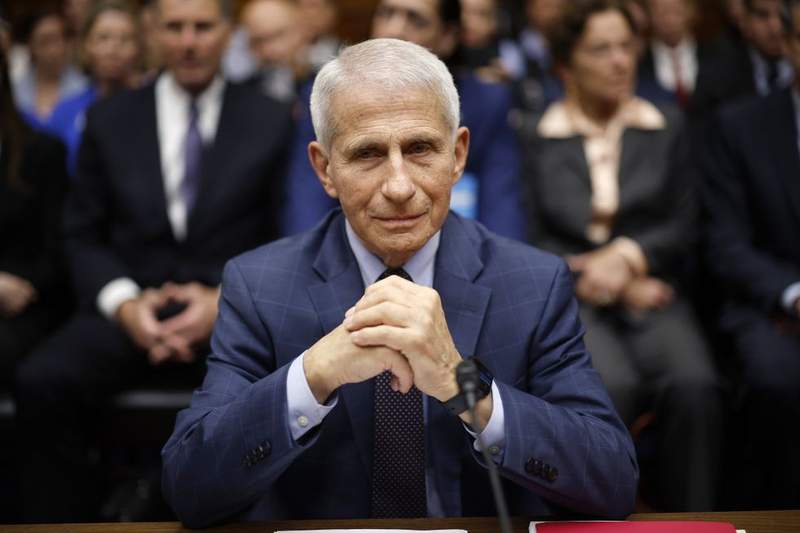 Image from: Tulsi Gabbard releases Covid files in final act and declares Dr Fauci ‘lied to Congress under oath’