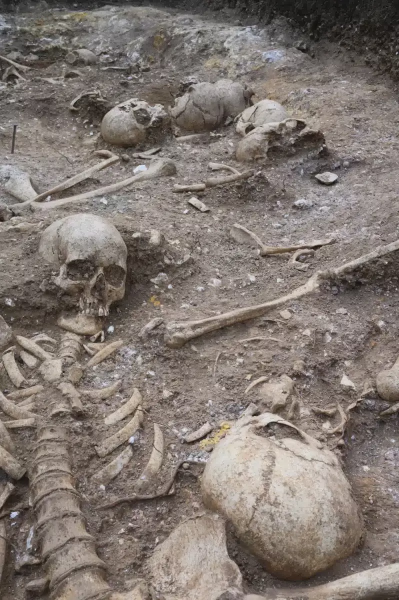 Image from: Students Unearthed a Viking-Era Burial Pit With One Towering Skeleton Inside