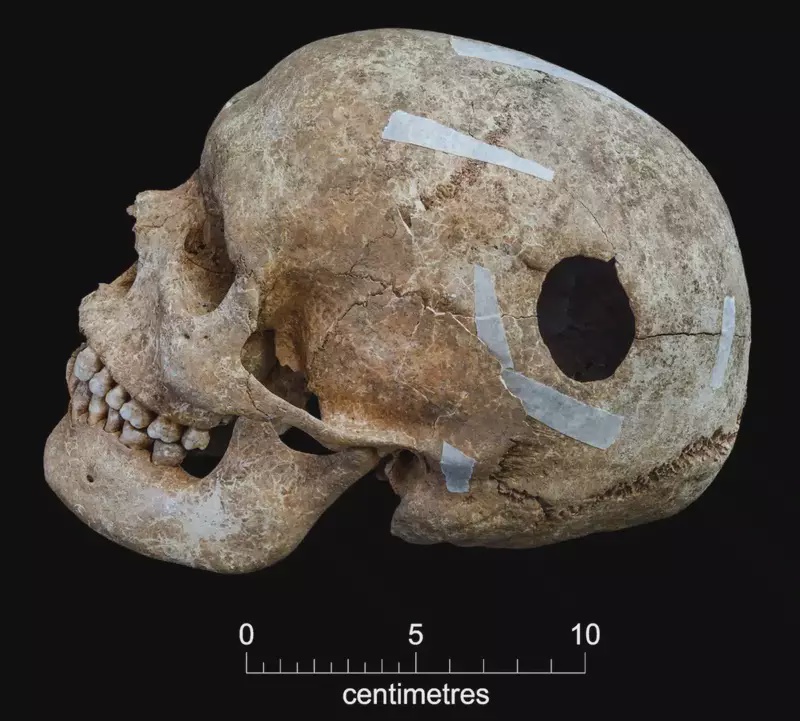 Image from: Students Unearthed a Viking-Era Burial Pit With One Towering Skeleton Inside