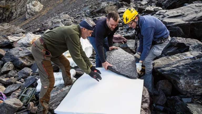 Image from: A Hiker Accidentally Discovered 280-Million-Year-Old Preserved Footprints Hidden in the Italian Mountains