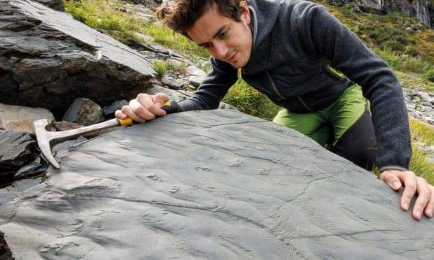 Image from: A Hiker Accidentally Discovered 280-Million-Year-Old Preserved Footprints Hidden in the Italian Mountains