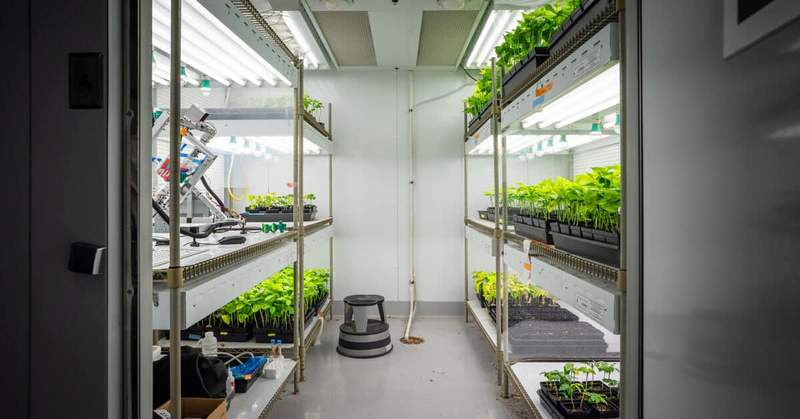 Image from: Researchers Found a Way to Turn Ordinary Plants into Renewable Medicine Factories for Mars Missions