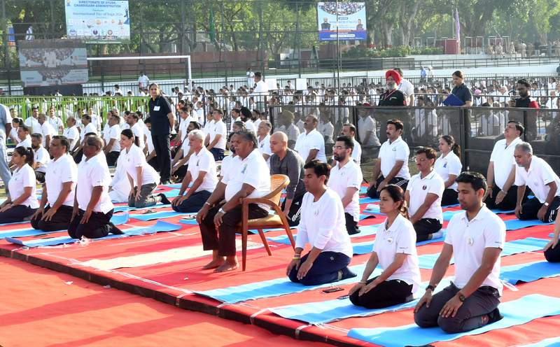 Image from: 12th International Yoga Day: Stretching towards wellness