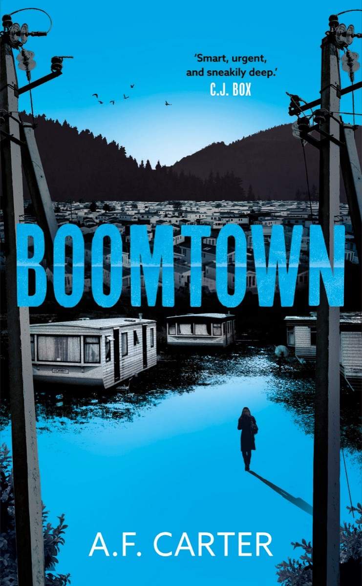 Image from: ‘I read this book in one sitting’: 6 gripping crime thrillers to devour this week, from family secrets to disturbing disappearances