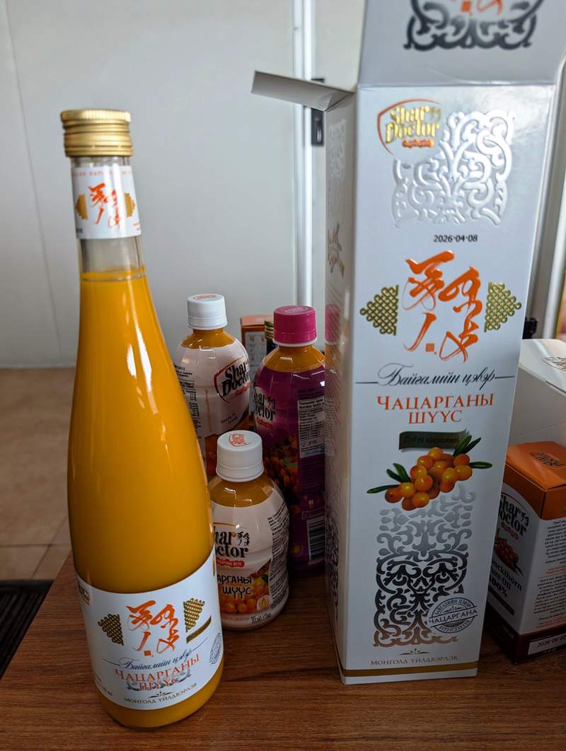 Image from: Himalayan states should follow Mongolia’s sea buckthorn success model: Expert