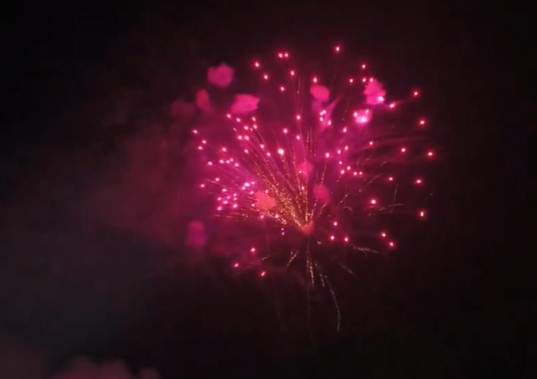 Image from: Grand fireworks display marks Tamil Nadu CM Vijay's 52nd birthday in Sivakasi