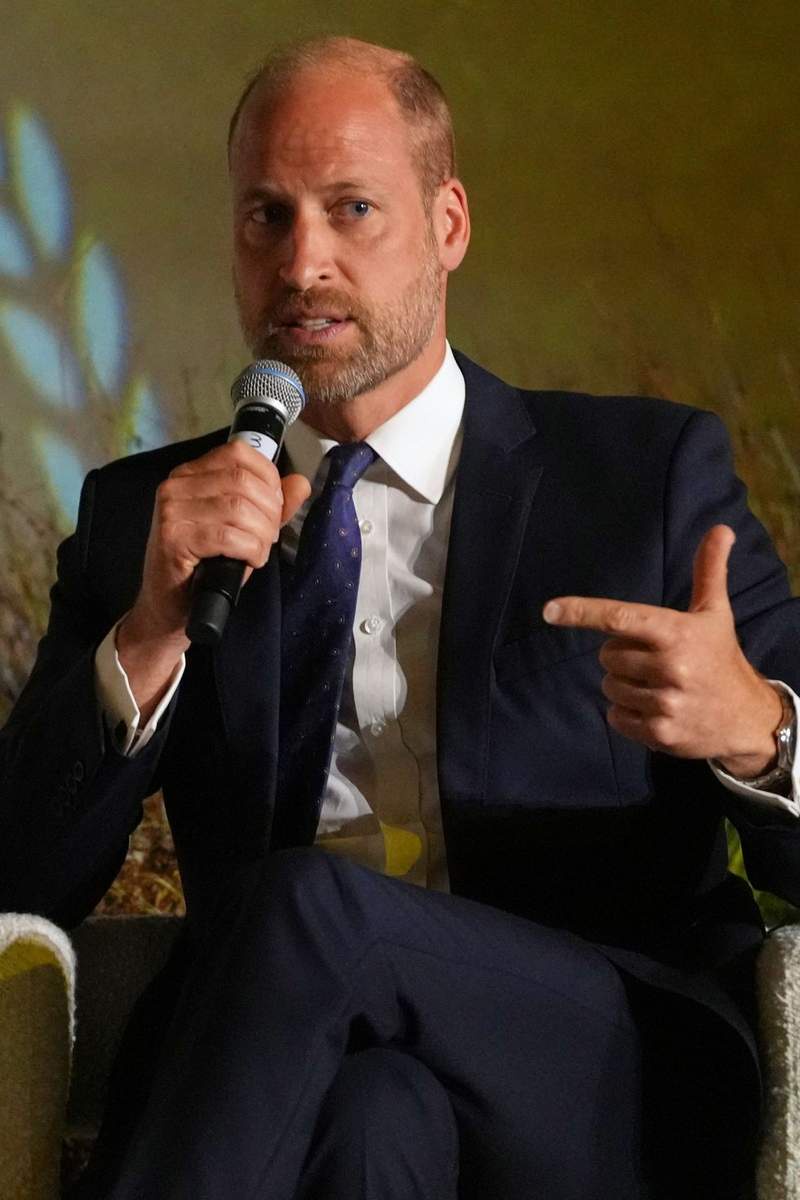 Image from: Prince William attends major event in London as Google, Amazon and Meta make public pledges