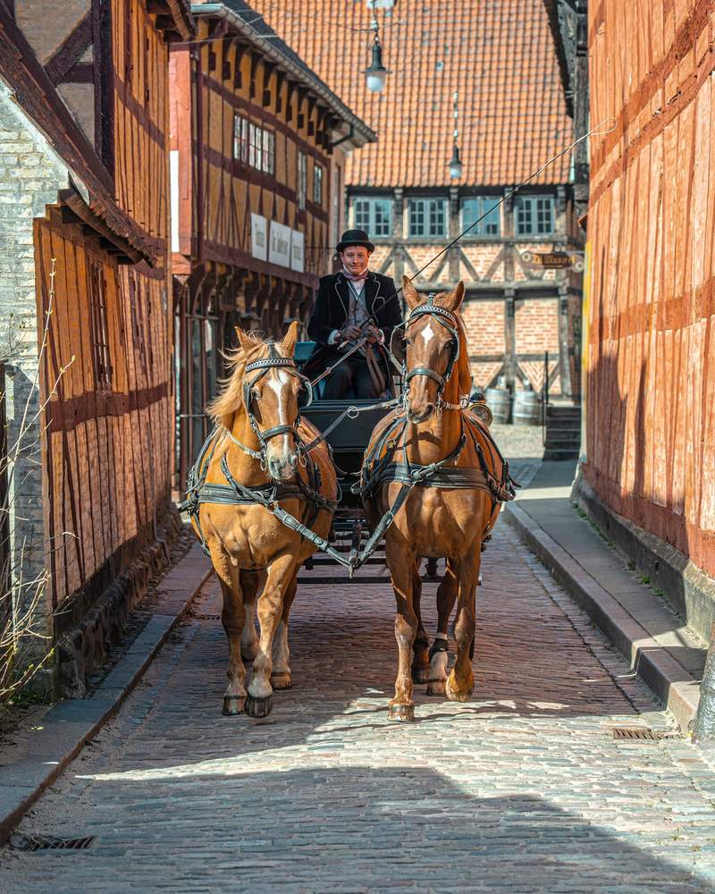 Image from: In Denmark, this unique history museum has just been voted the best in Europe (it features recreated streets and neighbourhoods from 1864 to 2014!)