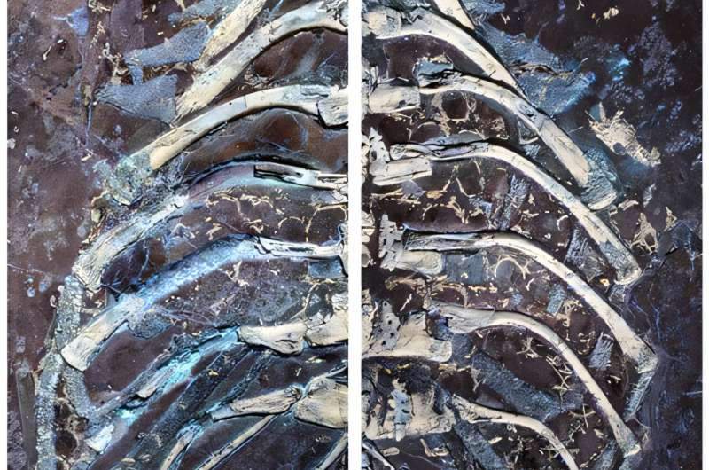 Image from: Hidden Under Rock for 125 Million Years, This Crocodile’s Skin Was So Well Preserved That Scientists Can Still Study Its Details
