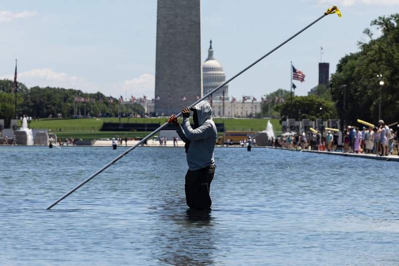 Image from: Revealed: Man who 'vandalised iconic Washington DC landmark' is repeat Democrat donor