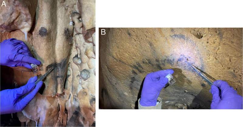 Image from: Inside a French Cave, Scientists Uncovered a 16,000-Year-Old Secret Hidden in Ancient Black Lines
