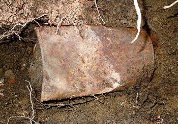 Image from: A Couple Walking Their Dog Stumbled Upon an Old Rusty Can, Inside Were $10 Million Worth of Gold Coins