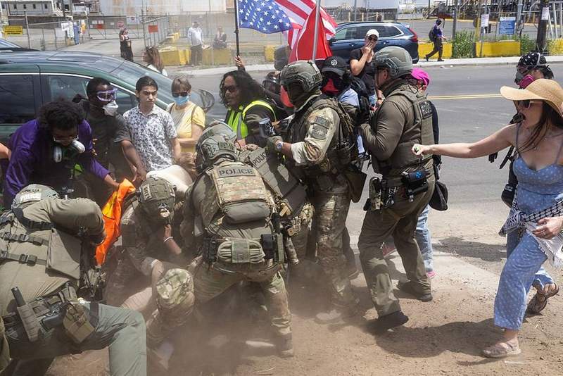 Image from: Police probe after veteran, 80, 'surrounded and knocked to ground' by furious anti-Ice protesters