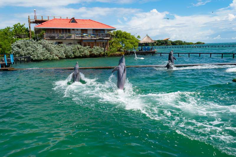 Image from: In the Caribbean, these 4 little-known islands in the Trinidad-and-Tobago archipelago are a sight to see