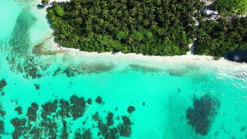 Image from: From the Maldives to Japan: 5 islands with the best turquoise waters in the world (they’ll take your breath away!)