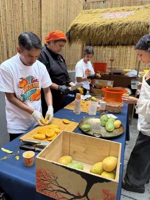 Image from: Diaspora members, New Yorkers savour Indian mango varieties at special event
