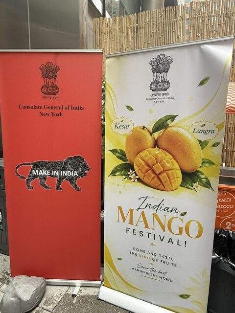 Image from: Diaspora members, New Yorkers savour Indian mango varieties at special event