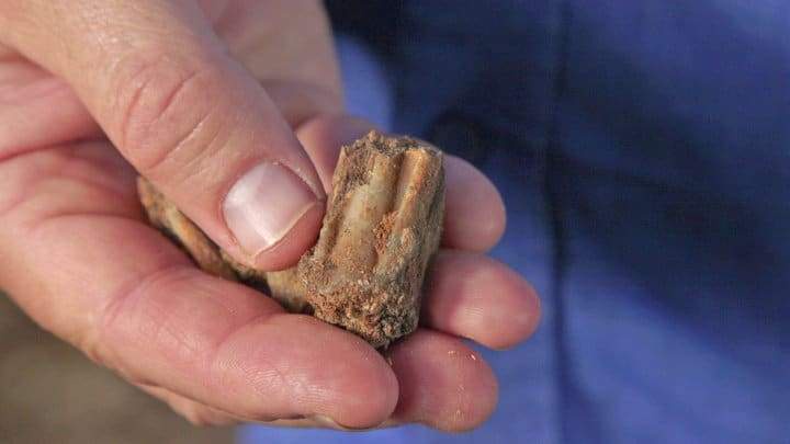 Image from: Archaeologists Opened an Ancient Cave Hidden for 400,000 Years, and What’s Inside Is Remarkable