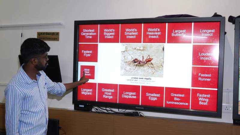 Image from: Insect Museum at Tamil Nadu Agricultural University to open online gateway for global audience