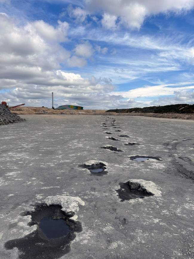 Image from: Scientists Discover 150-Meter Dinosaur Trackway in the UK Hidden Beneath a Working Quarry