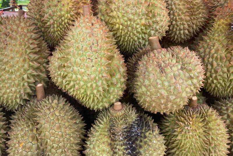 Image from: Durian boom: Kuala Lumpur opens world's stinkiest fruit 'experience'