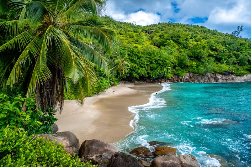 Image from: In the Grenadines, these are the most beautiful beaches you’ll want to visit immediately (with turquoise water and sun-soaked sand)