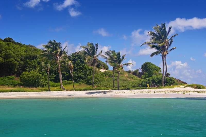 Image from: In the Grenadines, these are the most beautiful beaches you’ll want to visit immediately (with turquoise water and sun-soaked sand)