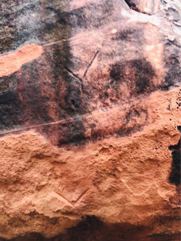 Image from: During a Routine Forest Patrol, Rangers Stumbled Upon a Hidden Thai Cave With 2,000-Year-Old Petroglyphs