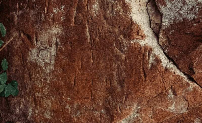 Image from: During a Routine Forest Patrol, Rangers Stumbled Upon a Hidden Thai Cave With 2,000-Year-Old Petroglyphs