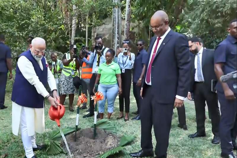 Image from: PM Modi feeds world's oldest living land animal 'Jonathan' during Seychelles visit