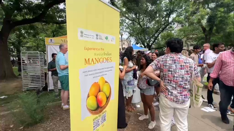 Image from: Indian Embassy's mango tasting event draws over 8000 people in US